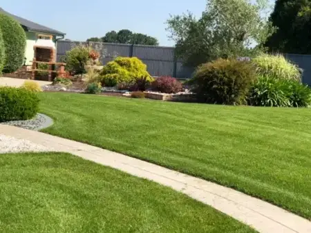entretien jardin à Saint Viaud - image 4